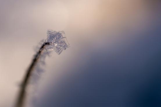 Coraz rzadsze zjawisko atmosferyczne: śnieg