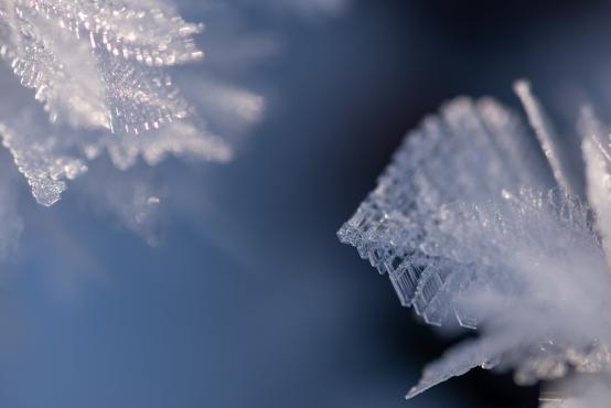 Coraz rzadsze zjawisko atmosferyczne: śnieg