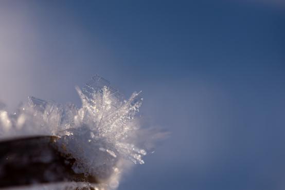 Coraz rzadsze zjawisko atmosferyczne: śnieg