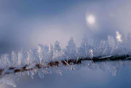 Coraz rzadsze zjawisko atmosferyczne: śnieg