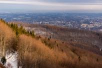 Królestwo zimy: fenomen śniegu i zmieniający się klimat Bielska-Białej