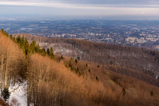 Coraz rzadsze zjawisko atmosferyczne: śnieg