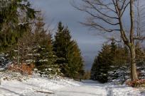 Królestwo zimy: fenomen śniegu i zmieniający się klimat Bielska-Białej