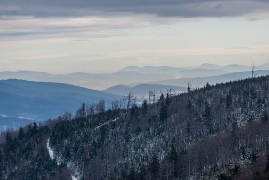 Coraz rzadsze zjawisko atmosferyczne: śnieg