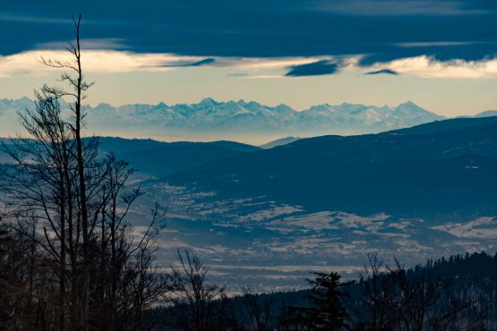 Coraz rzadsze zjawisko atmosferyczne: śnieg