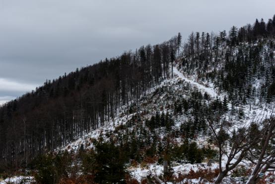 Coraz rzadsze zjawisko atmosferyczne: śnieg