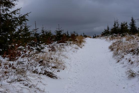 Coraz rzadsze zjawisko atmosferyczne: śnieg