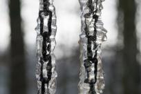 Królestwo zimy: fenomen śniegu i zmieniający się klimat Bielska-Białej