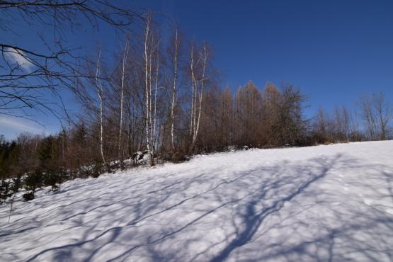 Coraz rzadsze zjawisko atmosferyczne: śnieg