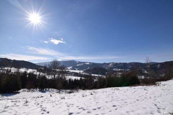 Coraz rzadsze zjawisko atmosferyczne: śnieg