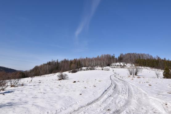 Coraz rzadsze zjawisko atmosferyczne: śnieg