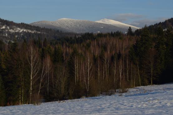 Coraz rzadsze zjawisko atmosferyczne: śnieg