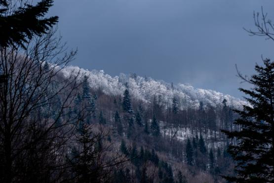 Coraz rzadsze zjawisko atmosferyczne: śnieg