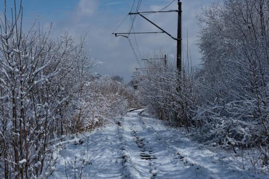 Coraz rzadsze zjawisko atmosferyczne: śnieg