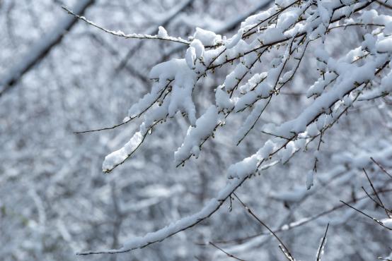 Coraz rzadsze zjawisko atmosferyczne: śnieg