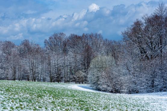 Coraz rzadsze zjawisko atmosferyczne: śnieg