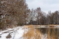 Nietypowy towarzysz wyprawy: Karczownik ziemnowodny i magia zimowej przyrody Nietypowy towarzysz wyprawy: Karczownik ziemnowodny i magia zimowej przyrody