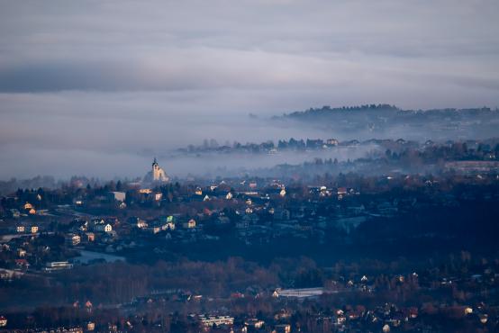 W poszukiwaniu jemiołuszek: z beskidzkich szlaków na wzgórze Trzy Lipki