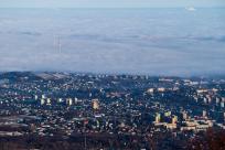 W poszukiwaniu jemiołuszek: z beskidzkich szlaków na wzgórze Trzy Lipki