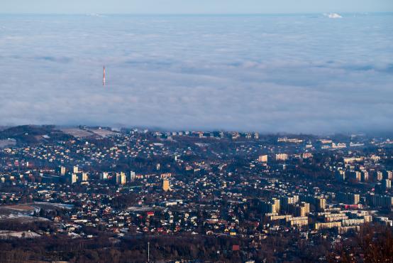 W poszukiwaniu jemiołuszek: z beskidzkich szlaków na wzgórze Trzy Lipki