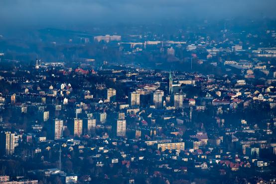 W poszukiwaniu jemiołuszek: z beskidzkich szlaków na wzgórze Trzy Lipki