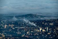 W poszukiwaniu jemiołuszek: z beskidzkich szlaków na wzgórze Trzy Lipki