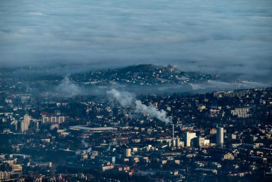W poszukiwaniu jemiołuszek: z beskidzkich szlaków na wzgórze Trzy Lipki