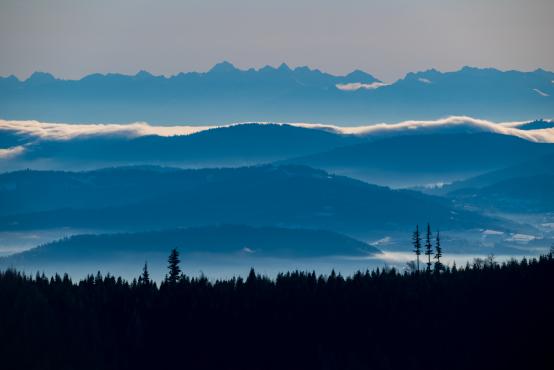 W poszukiwaniu jemiołuszek: z beskidzkich szlaków na wzgórze Trzy Lipki