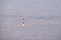 W poszukiwaniu jemiołuszek: z beskidzkich szlaków na wzgórze Trzy Lipki