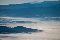 W poszukiwaniu jemiołuszek: z beskidzkich szlaków na wzgórze Trzy Lipki