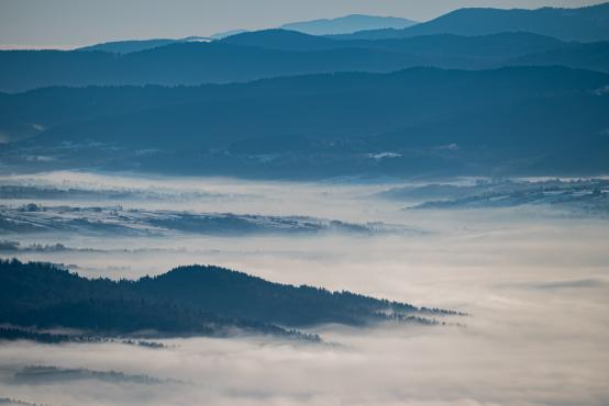 W poszukiwaniu jemiołuszek: z beskidzkich szlaków na wzgórze Trzy Lipki