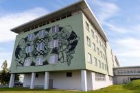 Sztuka ulicy: bielskie murale i street art na mapie Śląska