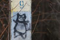 Sztuka ulicy: bielskie murale i street art na mapie Śląska