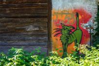 Muralowa Odyseja: Bielsko-Biała, Tychy, Mikulov i Ostrawa