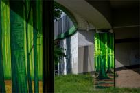Las pod estakadą, król na ścianie i przystanek z duszą – muralowy przewodnik po Bielsku Las pod estakadą, król na ścianie i przystanek z duszą – muralowy przewodnik po Bielsku