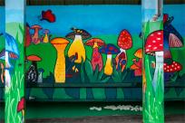 Las pod estakadą, król na ścianie i przystanek z duszą – muralowy przewodnik po Bielsku Las pod estakadą, król na ścianie i przystanek z duszą – muralowy przewodnik po Bielsku