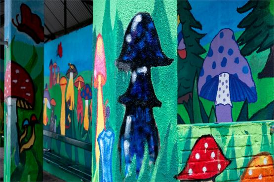 Las pod estakadą, król na ścianie i przystanek z duszą – muralowy przewodnik po Bielsku Las pod estakadą, król na ścianie i przystanek z duszą – muralowy przewodnik po Bielsku