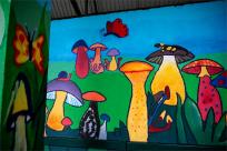 Las pod estakadą, król na ścianie i przystanek z duszą – muralowy przewodnik po Bielsku Las pod estakadą, król na ścianie i przystanek z duszą – muralowy przewodnik po Bielsku