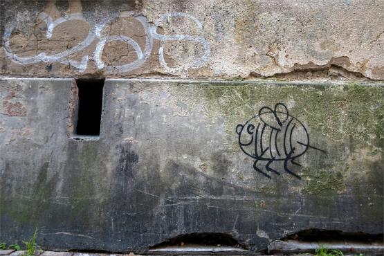 Las pod estakadą, król na ścianie i przystanek z duszą – muralowy przewodnik po Bielsku Las pod estakadą, król na ścianie i przystanek z duszą – muralowy przewodnik po Bielsku