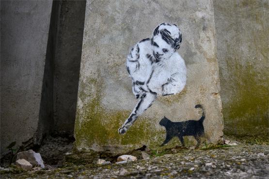 Las pod estakadą, król na ścianie i przystanek z duszą – muralowy przewodnik po Bielsku Las pod estakadą, król na ścianie i przystanek z duszą – muralowy przewodnik po Bielsku