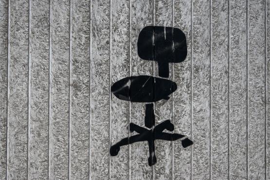 Las pod estakadą, król na ścianie i przystanek z duszą – muralowy przewodnik po Bielsku Las pod estakadą, król na ścianie i przystanek z duszą – muralowy przewodnik po Bielsku
