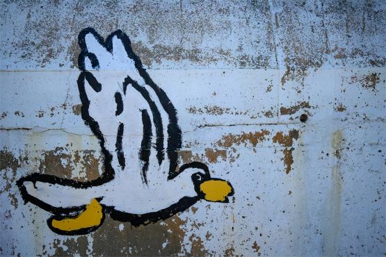 Las pod estakadą, król na ścianie i przystanek z duszą – muralowy przewodnik po Bielsku Las pod estakadą, król na ścianie i przystanek z duszą – muralowy przewodnik po Bielsku