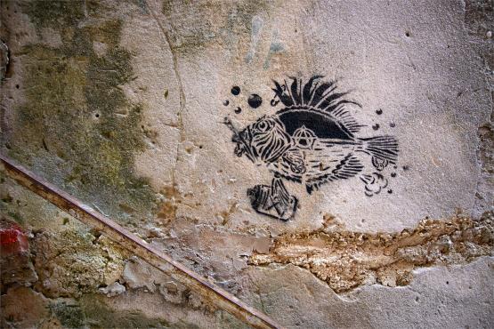 Las pod estakadą, król na ścianie i przystanek z duszą – muralowy przewodnik po Bielsku Las pod estakadą, król na ścianie i przystanek z duszą – muralowy przewodnik po Bielsku
