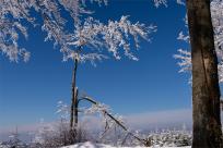 Zimowa magia Beskidów: Moja wędrówka przez Szyndzielnię, Klimczok i Magurę