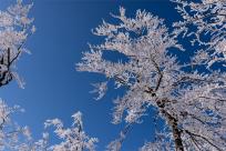 Zimowa magia Beskidów: Moja wędrówka przez Szyndzielnię, Klimczok i Magurę