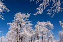 Zimowa magia Beskidów: Moja wędrówka przez Szyndzielnię, Klimczok i Magurę