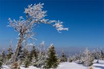 Zimowa magia Beskidów: Moja wędrówka przez Szyndzielnię, Klimczok i Magurę