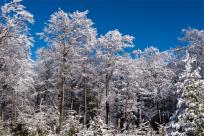 Zimowa magia Beskidów: Moja wędrówka przez Szyndzielnię, Klimczok i Magurę