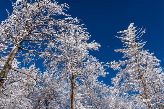 Szyndzielnia, Klimczok, Magura - Beskid Śląski zimą