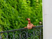 Słowackie Klejnoty: Fotograficzna Relacja z Bańskiej Szczawnicy – Miasta Złota, Srebra i Miedzi Słowackie Klejnoty: Fotograficzna Relacja z Bańskiej Szczawnicy – Miasta Złota, Srebra i Miedzi